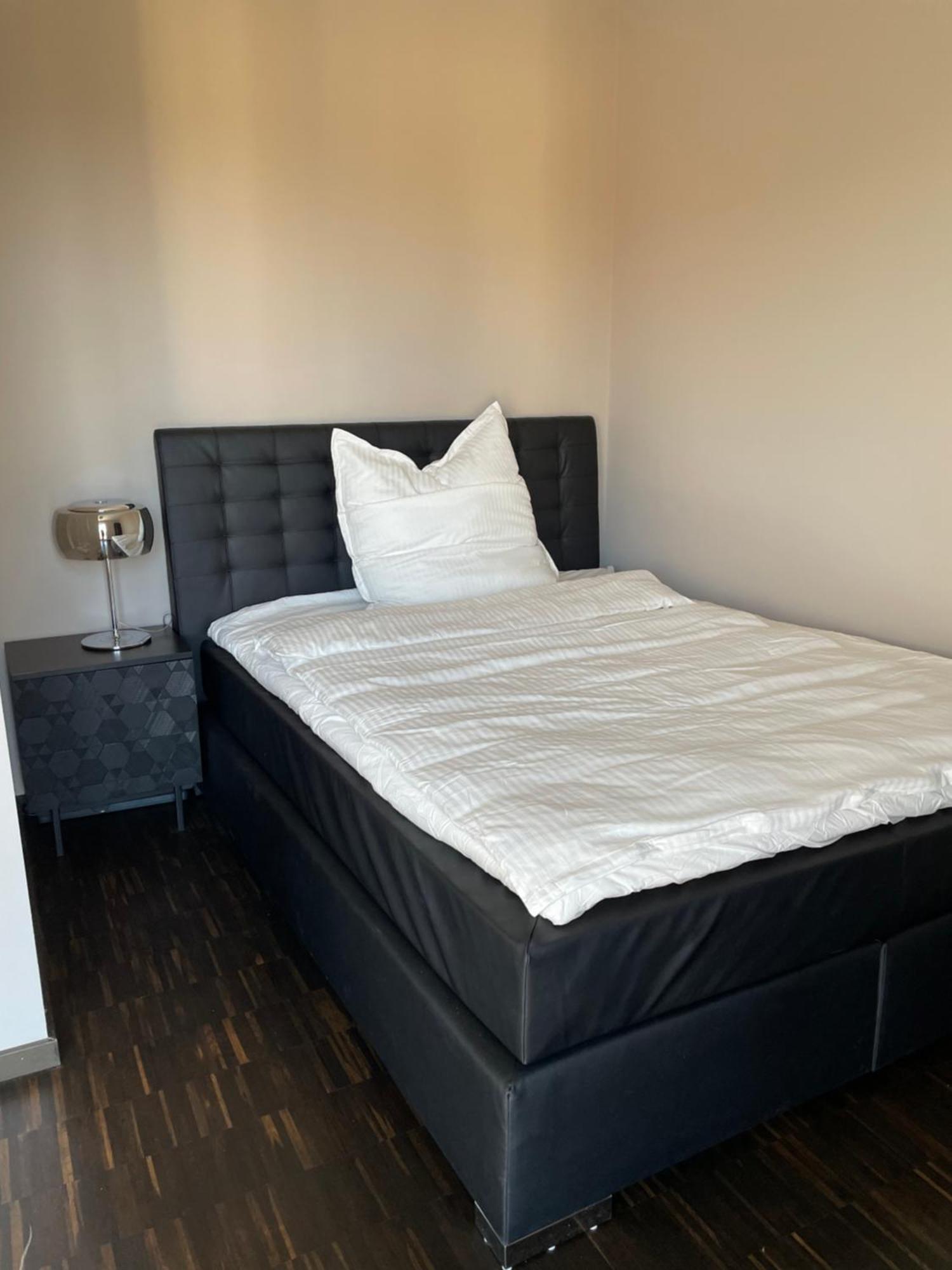 Apartment Luxury/urban Penthouse Dresden